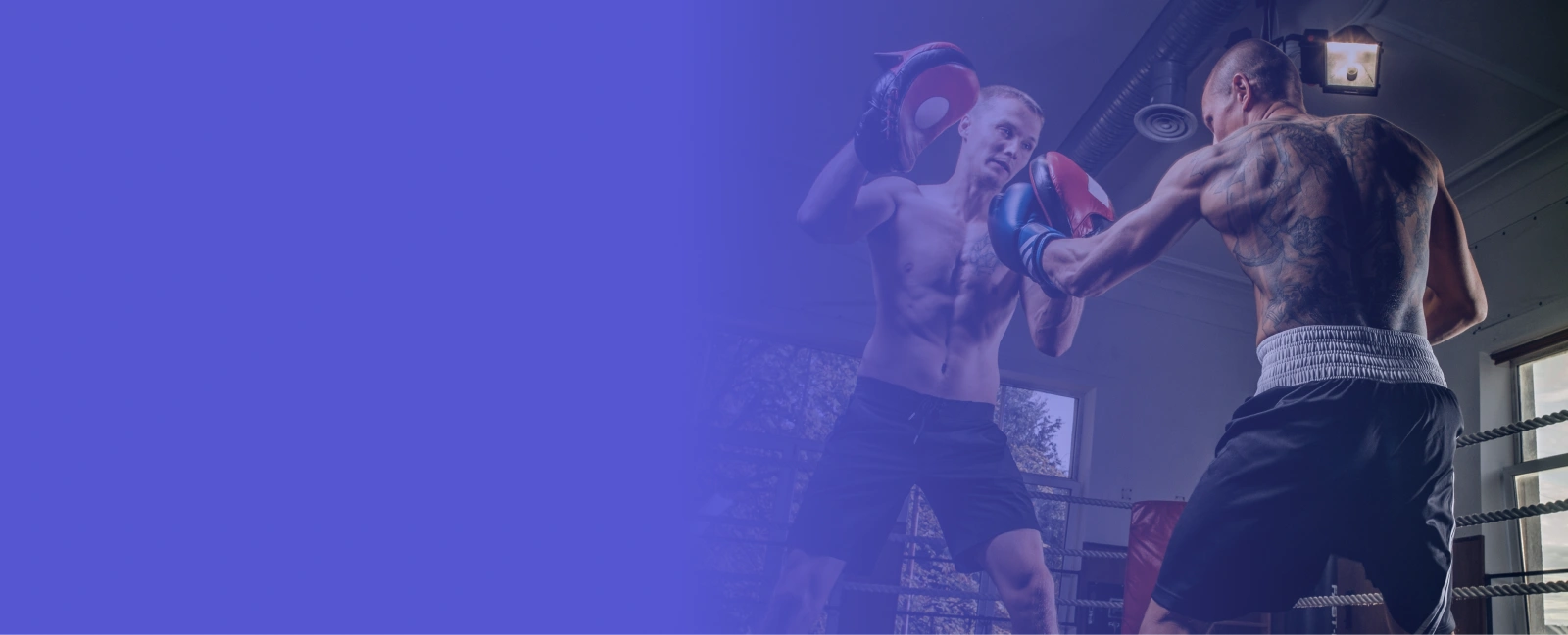 Boxing Live Line API development Service