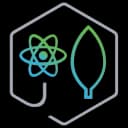 MERN Stack Developer
