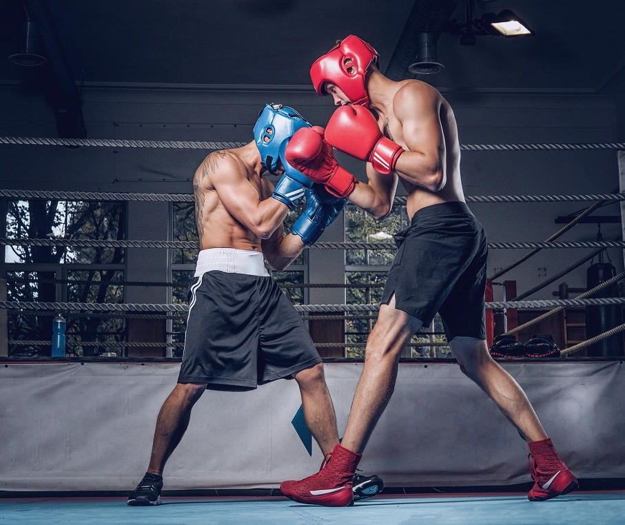 Comfygen Technologies - Your Reliable Partner in Boxing Data API Integration