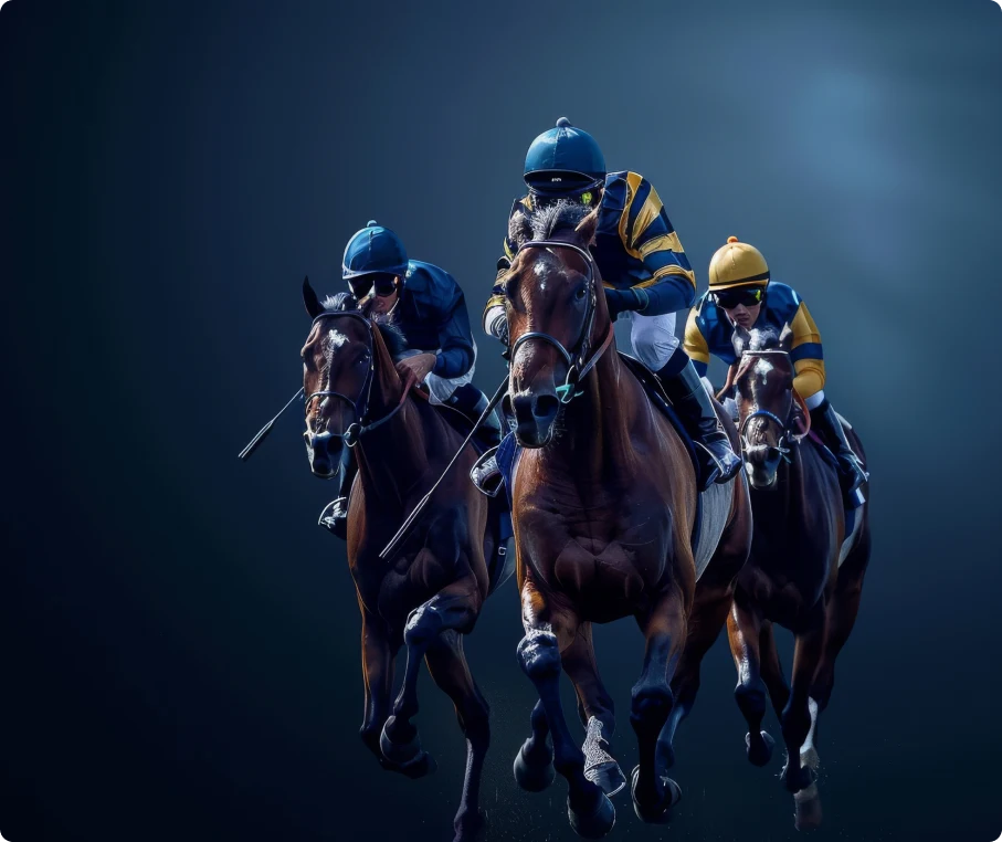 Best Horse Racing Live Line API