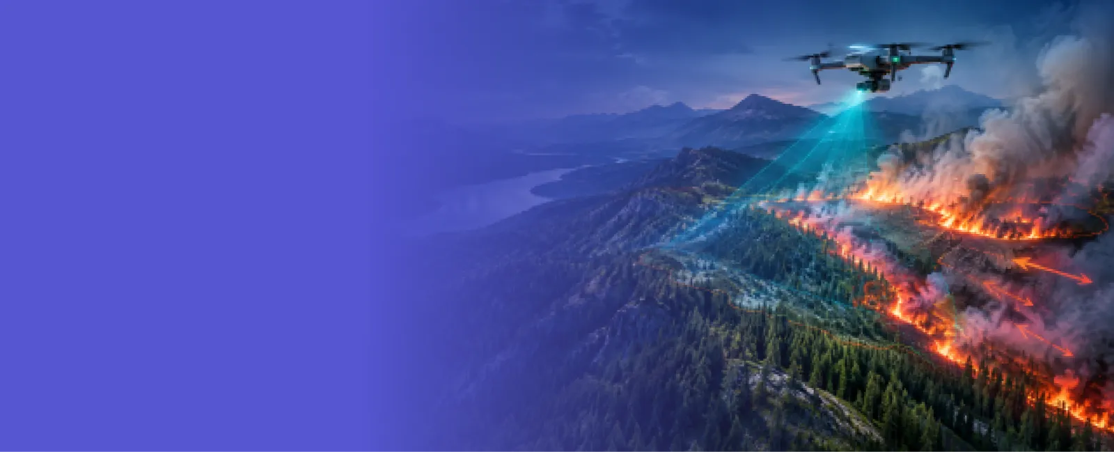Wildfire Management Software Development