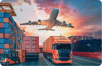 Transportation Website