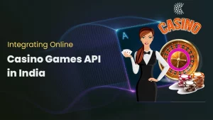 api integration india