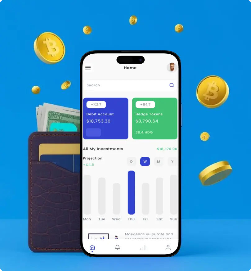 What is Wallet Development?