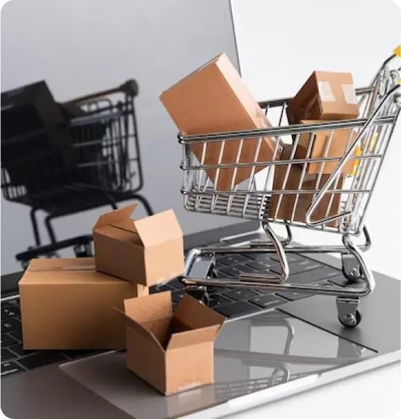 Looking For Reliable E-Commerce Website Development Services Looking For Reliable E-Commerce Website Development Services